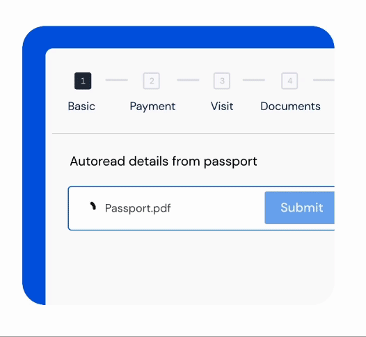 Animated visa application process